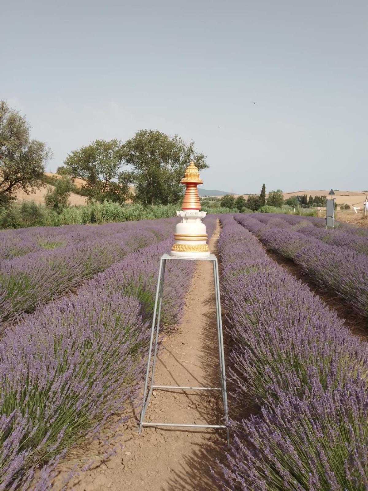 Villa Casa Storica Con Terrazzo Castellina Marittima Esterno foto